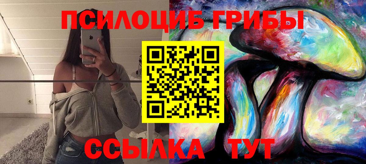 Галлюциногенные грибы Psilocybine cubensis  Вход с VPN  Донской 