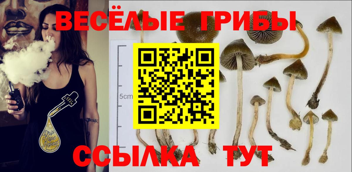 Псилоцибиновые грибы прущие грибы Донской